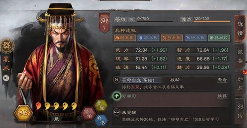 袁术战法爆料最新,古代军事智慧的巅峰对决  第2张